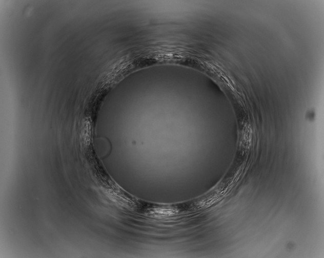 X0000100950659200807011310