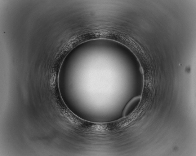 X0000100950660200807011310