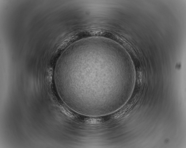 X0000100950664200807011310