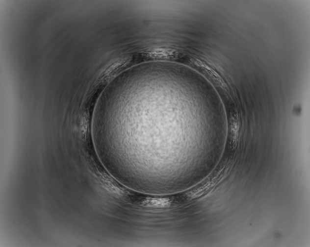 X0000100950665200807011310