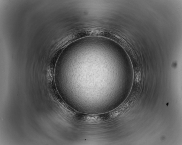X0000100950666200807011310
