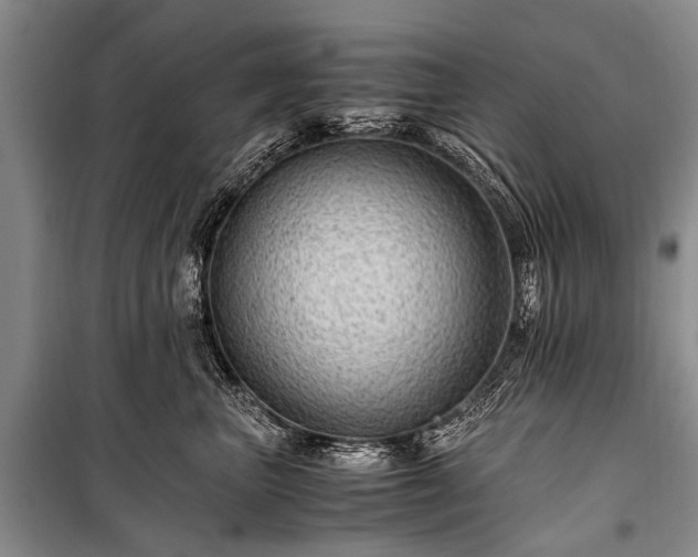X0000100950667200807011310