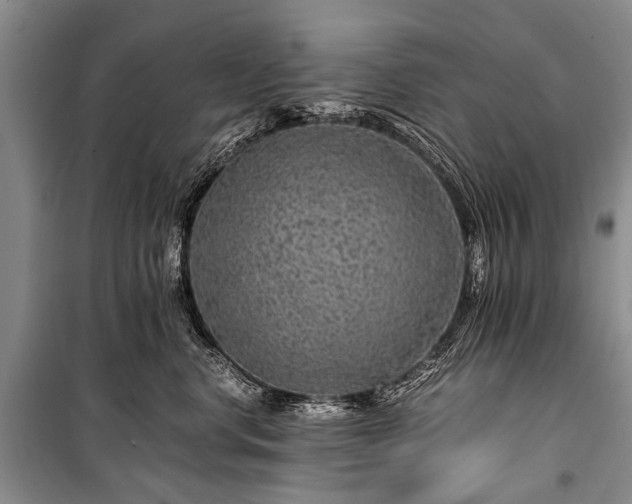 X0000100950668200807011310