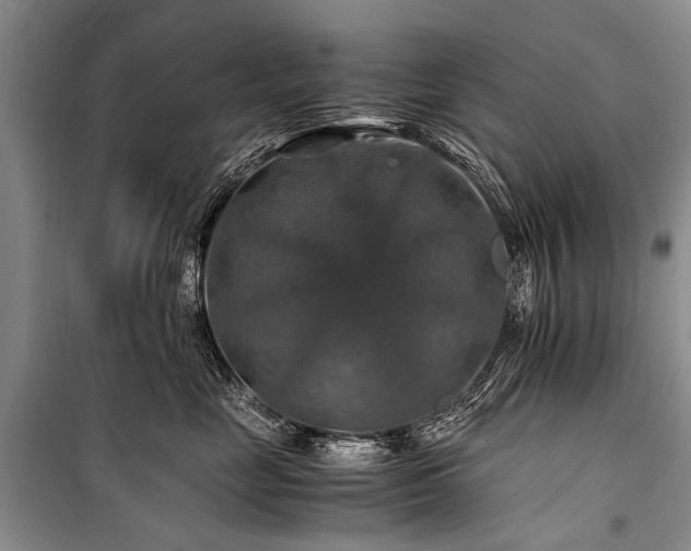 X0000100950669200807011310