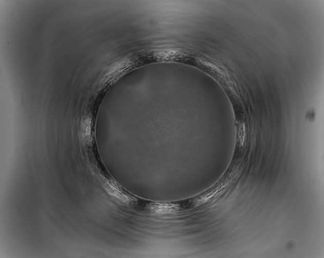 X0000100950670200807011310