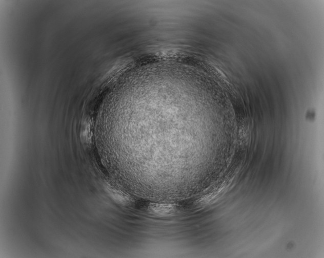 X0000100950671200807011310