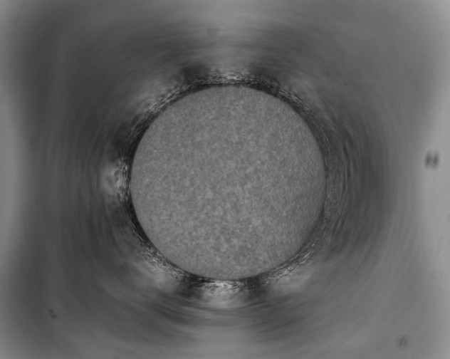 X0000100950672200807011310