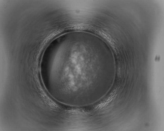 X0000100950673200807011309