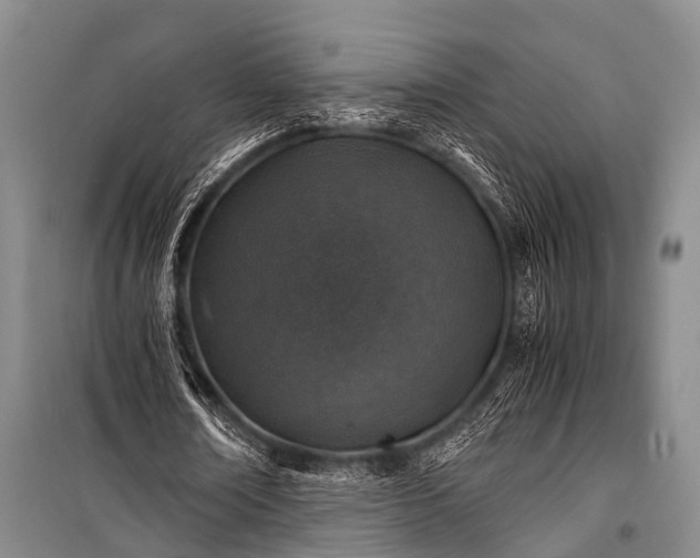 X0000100950674200807011309