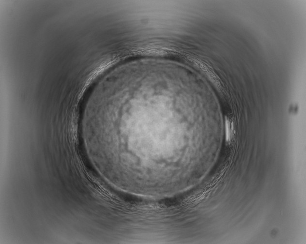 X0000100950675200807011309