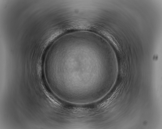 X0000100950677200807011309
