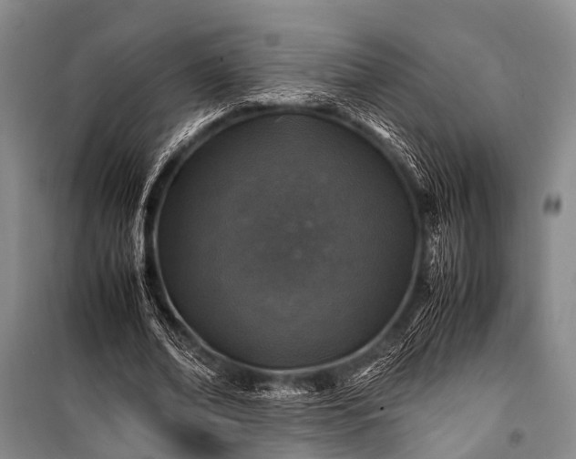 X0000100950678200807011309