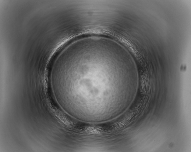 X0000100950680200807011309