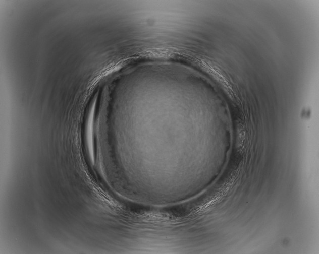 X0000100950681200807011309