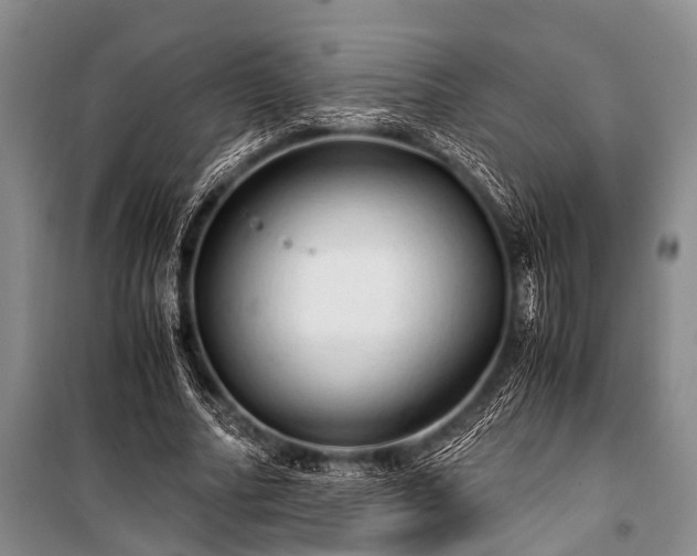 X0000100950682200807011309