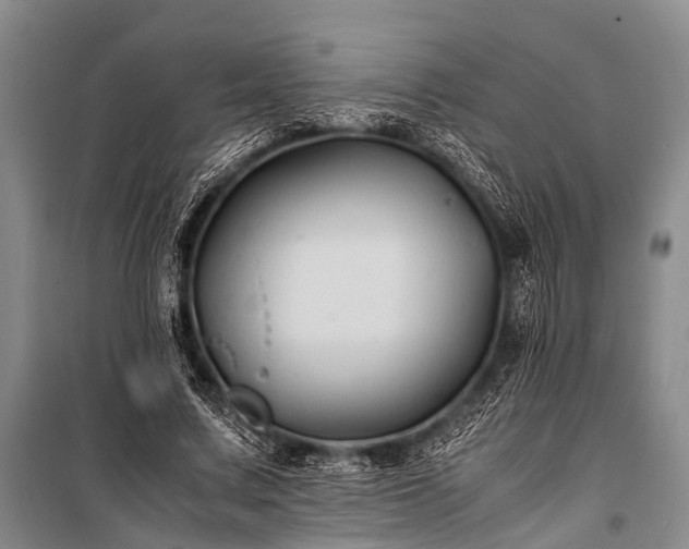 X0000100950683200807011309