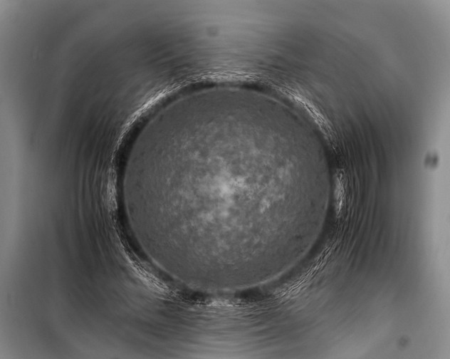 X0000100950684200807011309