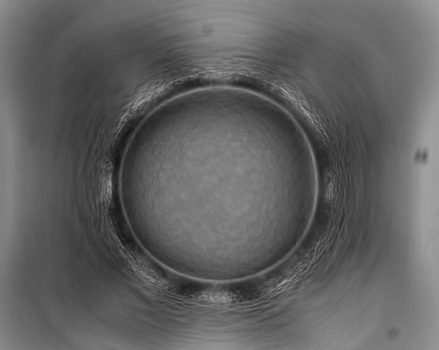 X0000100950685200807011309