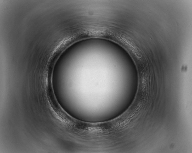 X0000100950686200807011309