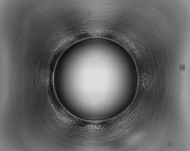 X0000100950690200807011309