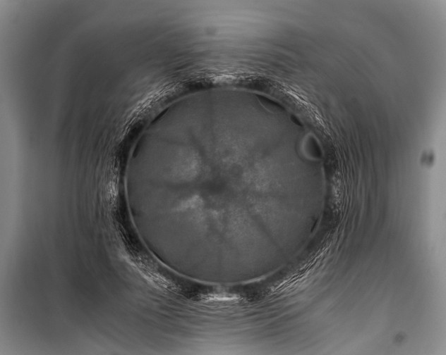X0000100950691200807011309