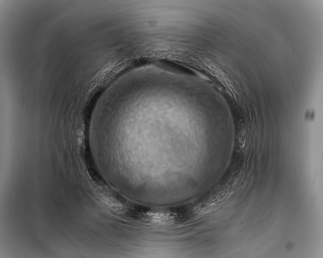 X0000100950693200807011309
