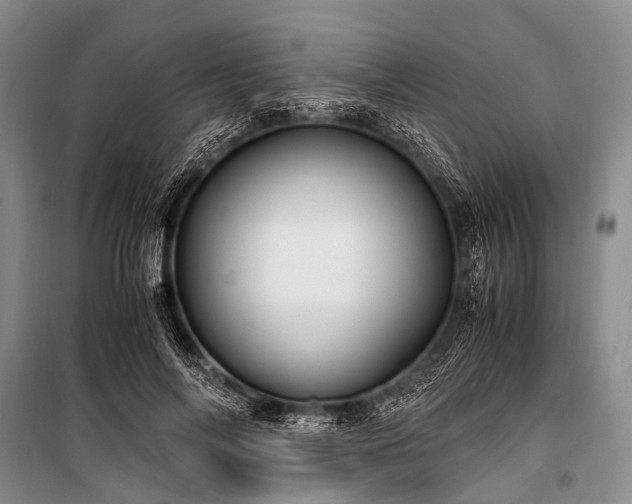 X0000100950694200807011309
