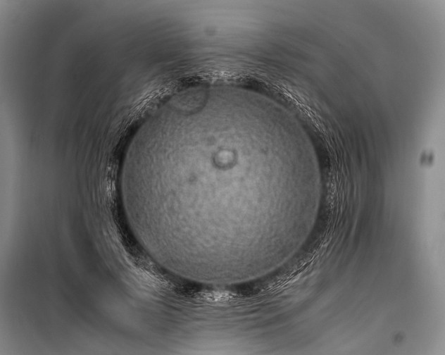 X0000100950695200807011309