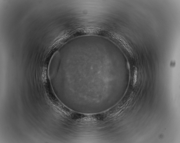 X0000100950696200807011309
