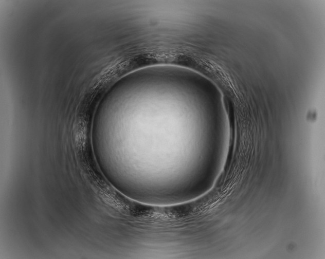 X0000100950697200807011309