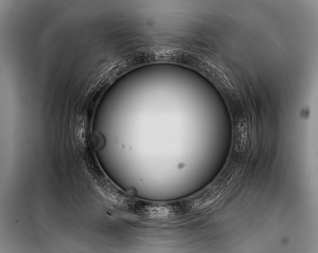 X0000100950698200807011309