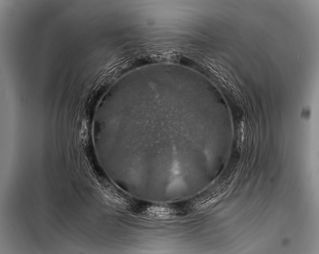 X0000100950699200807011309