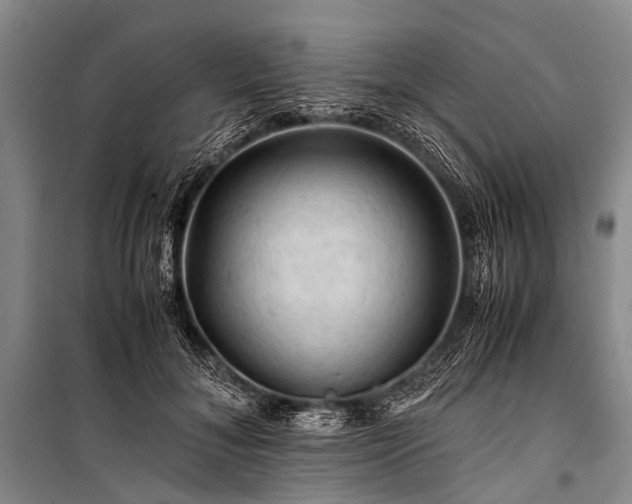 X0000100950700200807011309