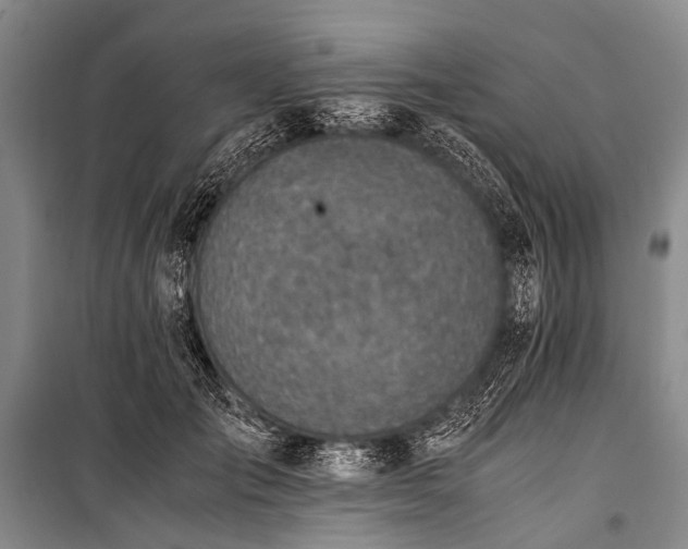 X0000100950701200807011309