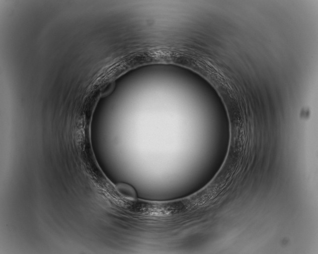 X0000100950702200807011309