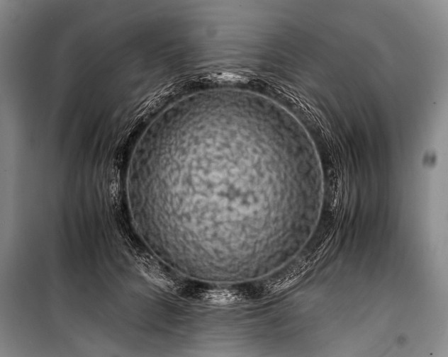 X0000100950704200807011309