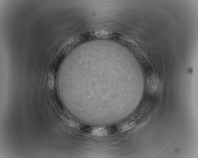 X0000100950705200807011309