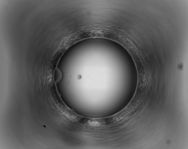 X0000100950706200807011309