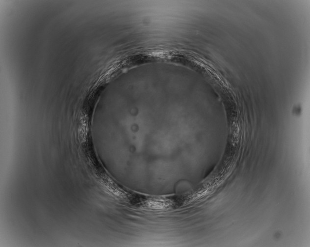 X0000100950707200807011309