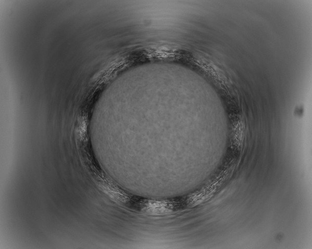 X0000100950709200807011309