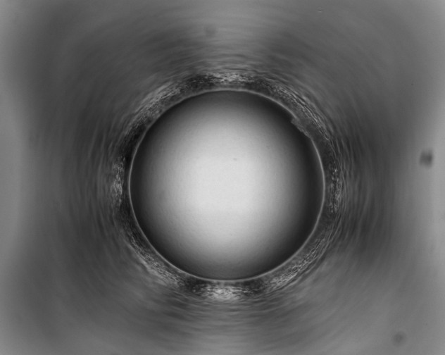 X0000100950710200807011309
