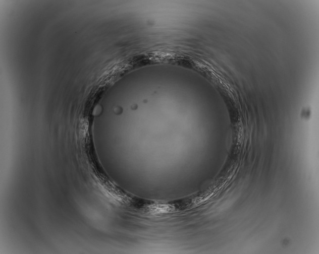 X0000100950711200807011309