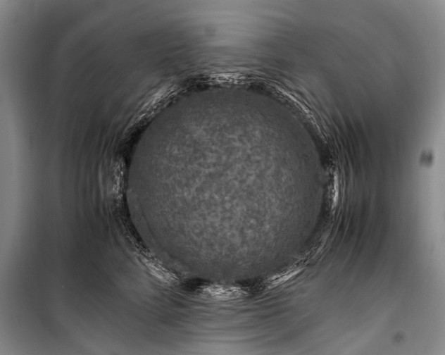 X0000100950712200807011309