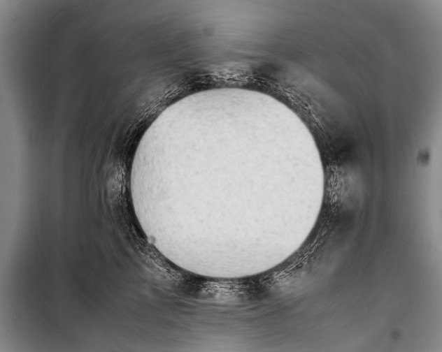 X0000100950713200807011309