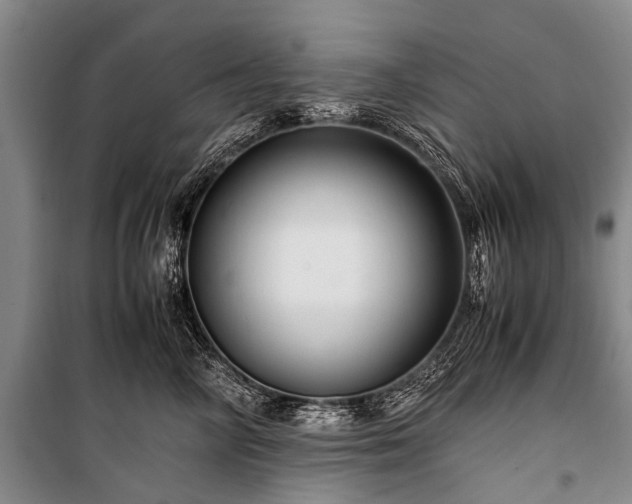 X0000100950714200807011309