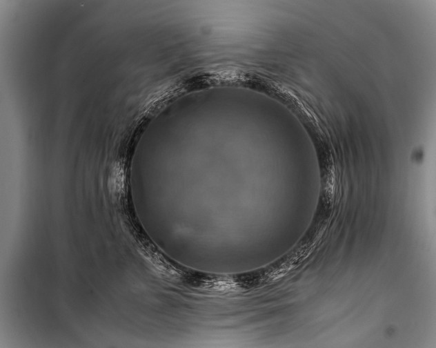 X0000100950715200807011309