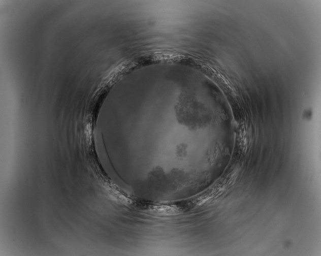 X0000100950716200807011309