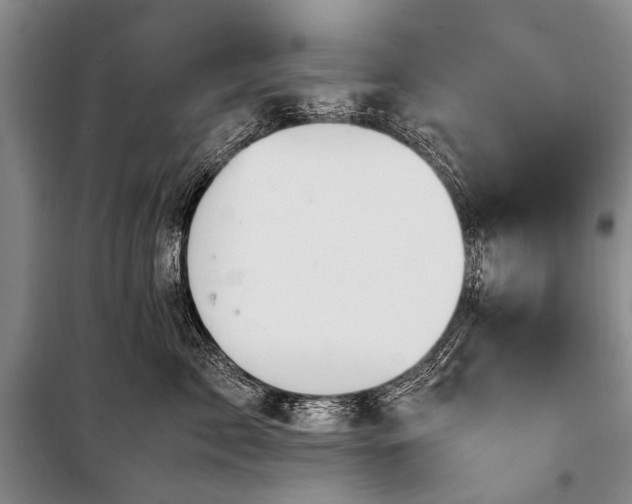X0000100950717200807011309