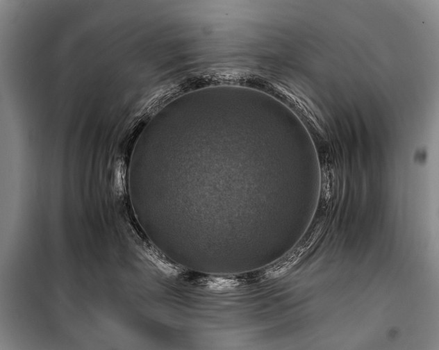 X0000100950718200807011309