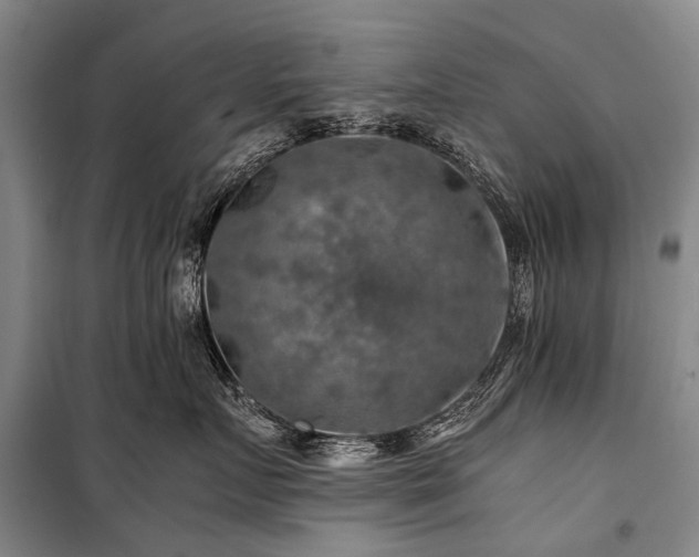 X0000100950719200807011309